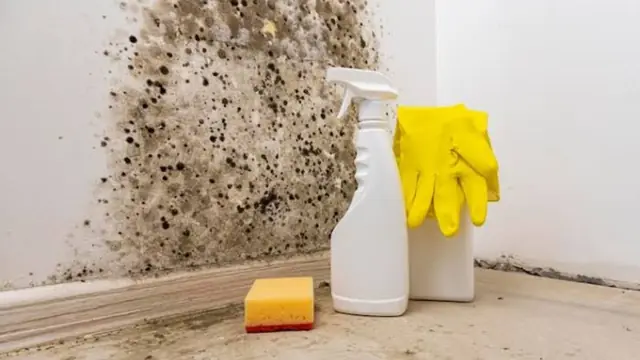 Black mold on a wall beside cleaning supplies and rubber gloves