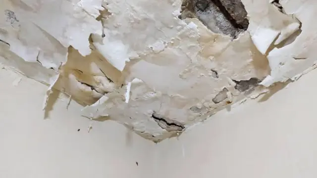 Peeling paint and a stained, water-damaged ceiling corner